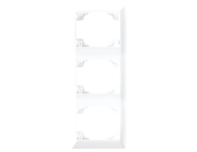 Triple Vertical Frame